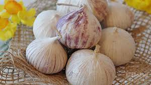 فروش سبزی موسیر کوهی + قیمت خرید به صرفه
